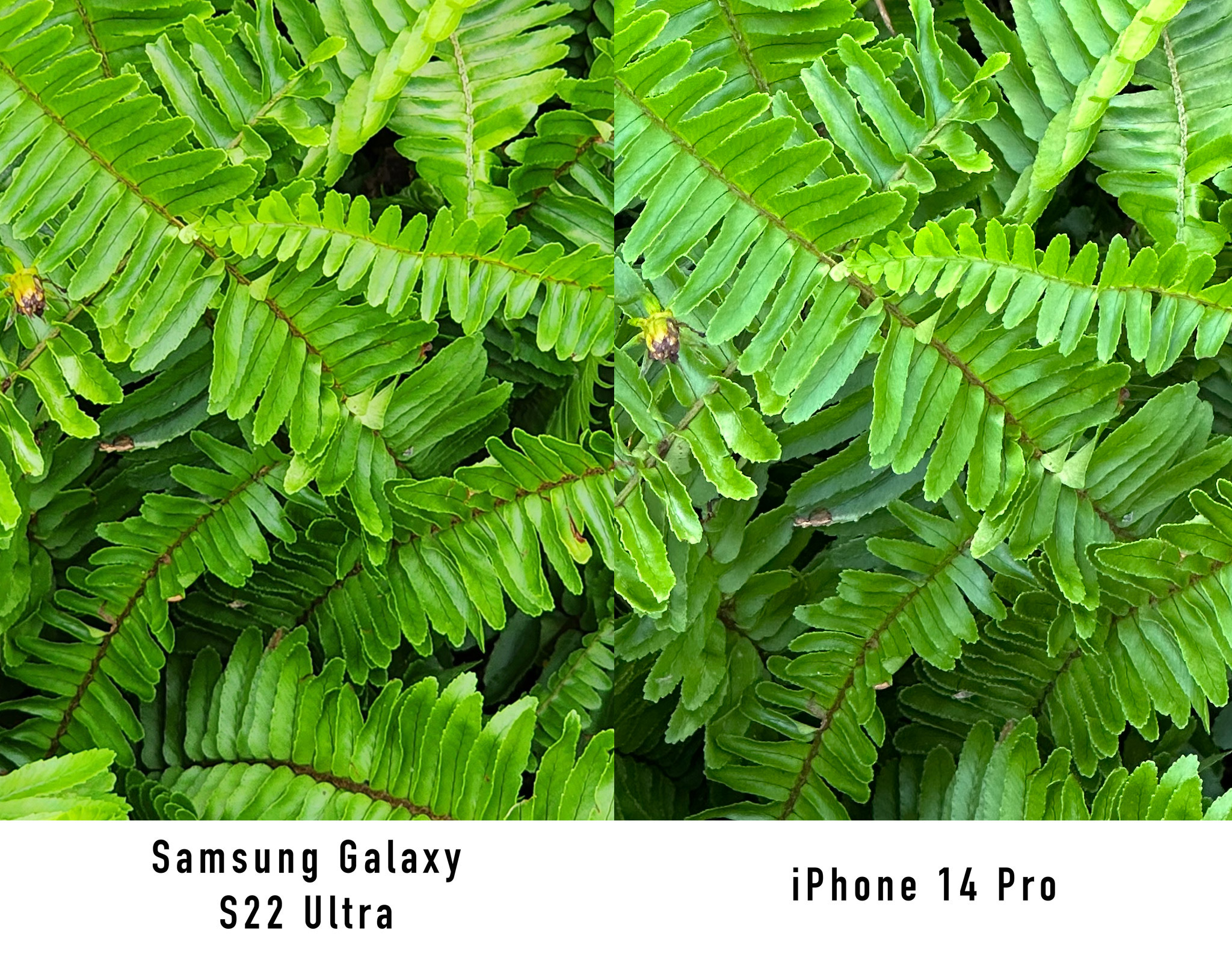 So-sánh-iphone-14-pro-samsung-s22-ultra-20.jpg