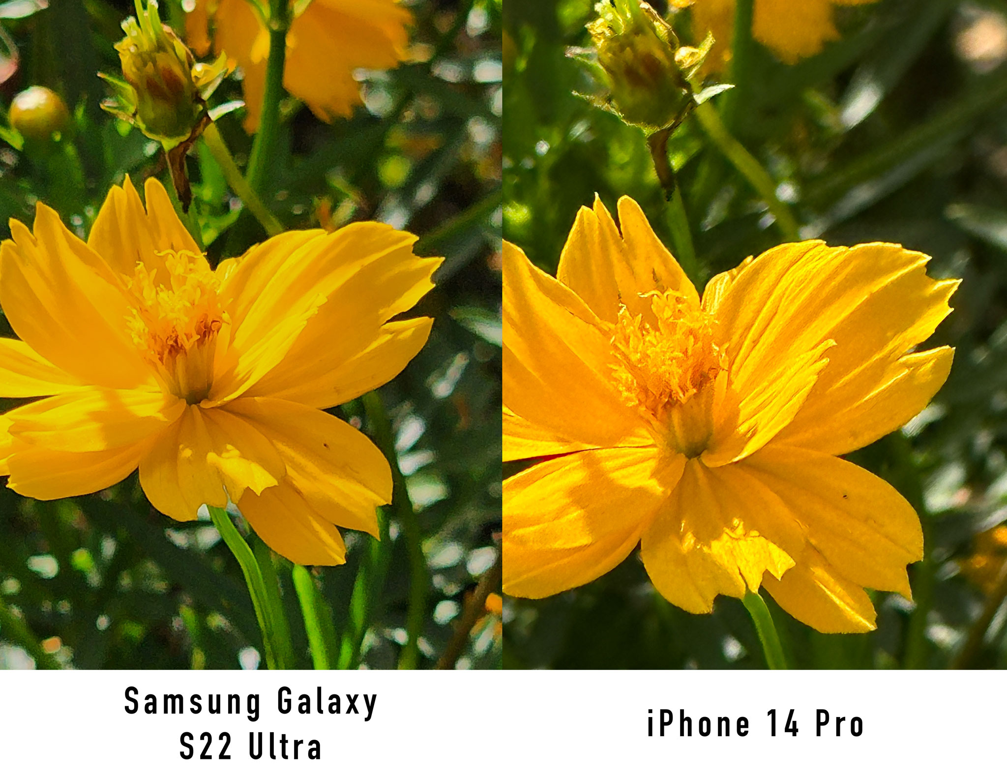 So-sánh-iphone-14-pro-samsung-s22-ultra-10.jpg