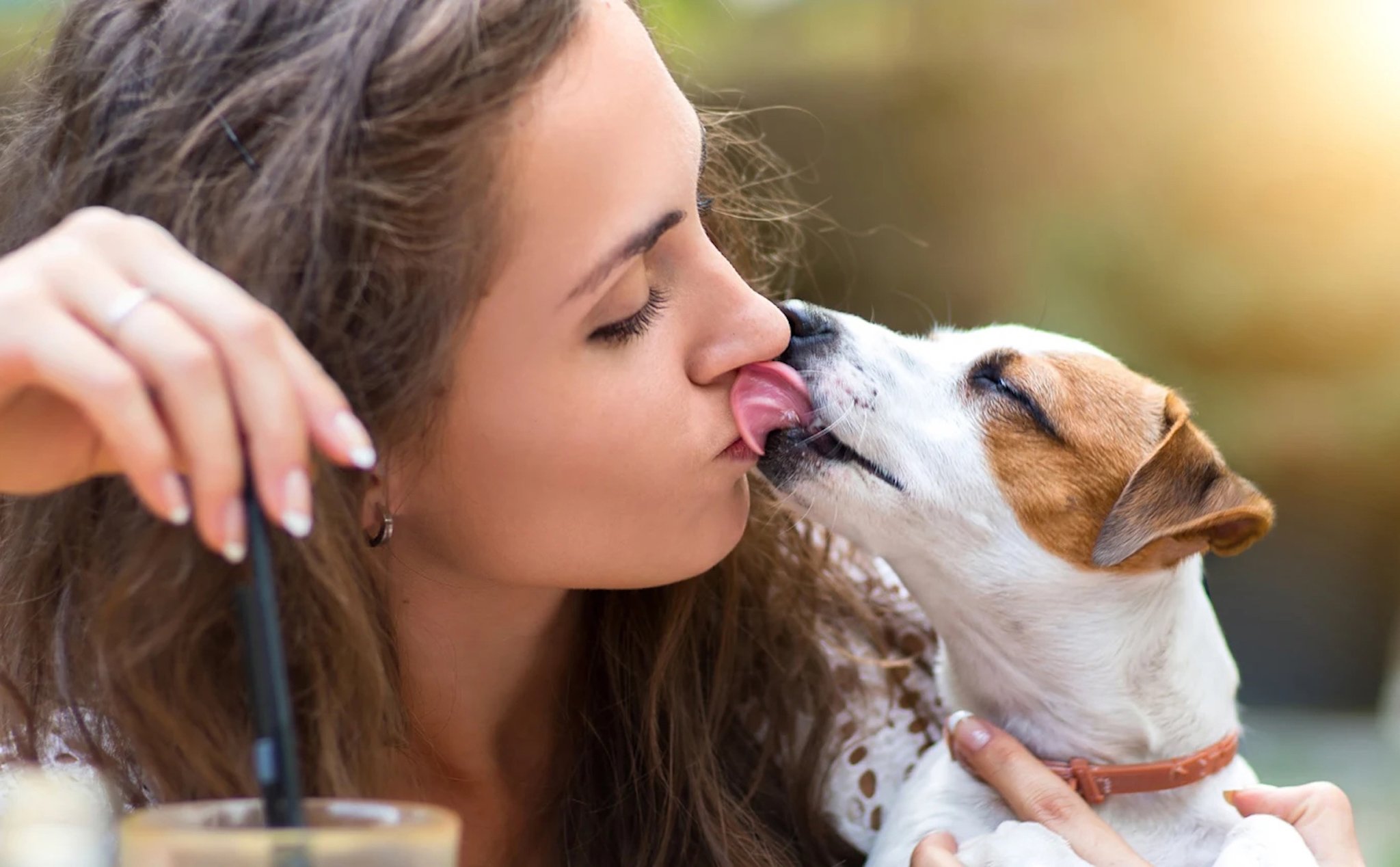 Dog licking. Собака целует. Собака целует человека. Собака облизывает. Девушка с собакой.