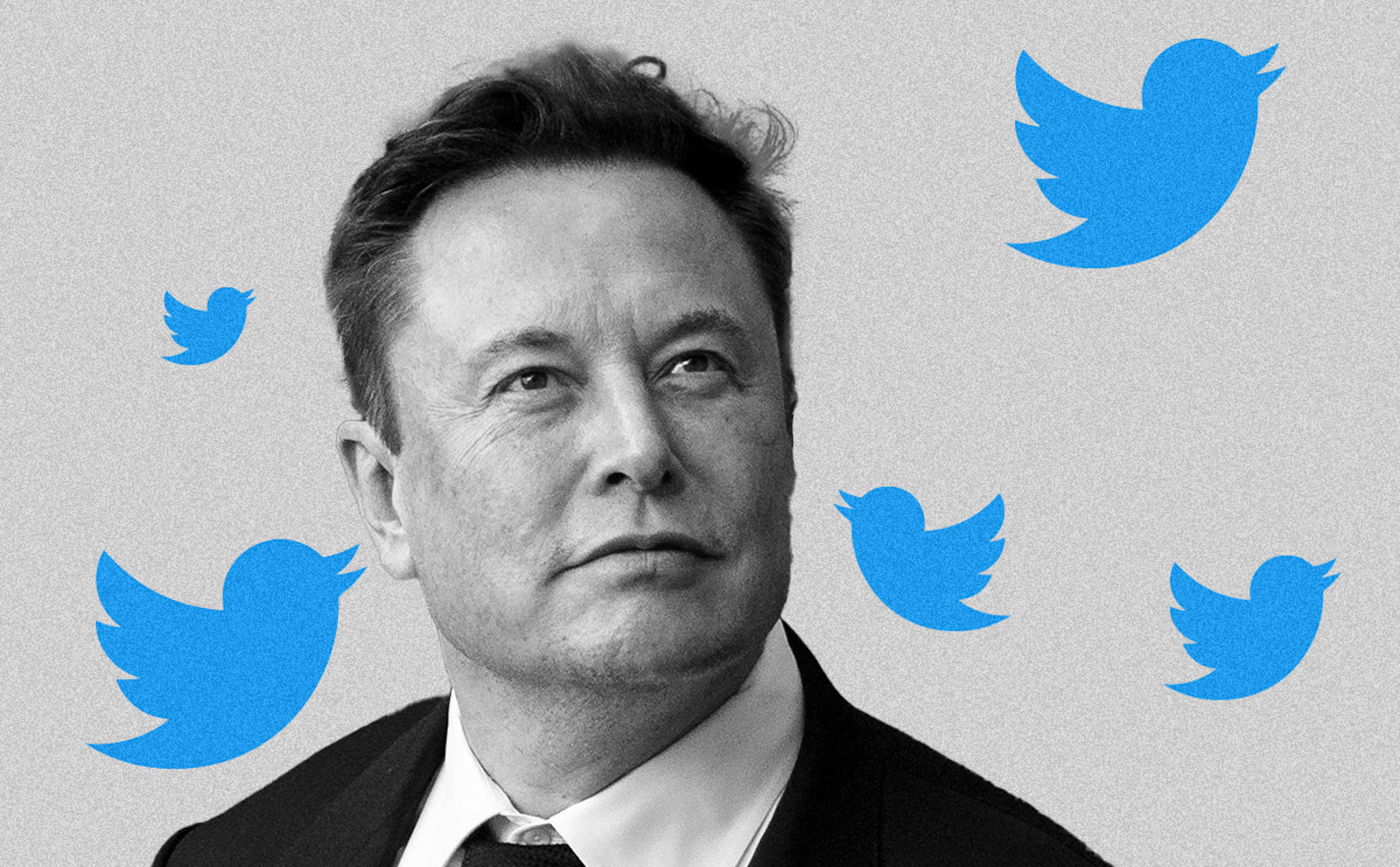 Elon Musk muốn Twitter 2.0 sẽ có 1 tỷ người dùng vào năm 2024