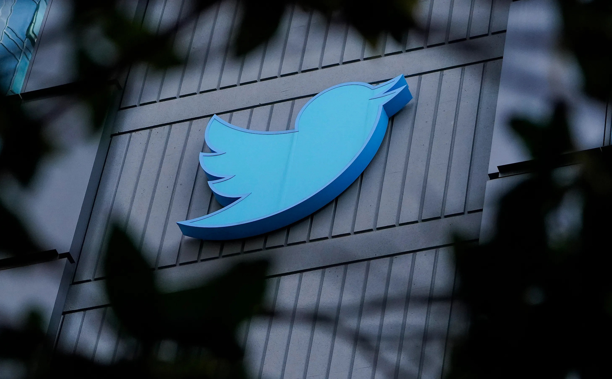 Twitter ngừng thực hiện các chính sách chống lại thông tin sai lệch về COVID-19