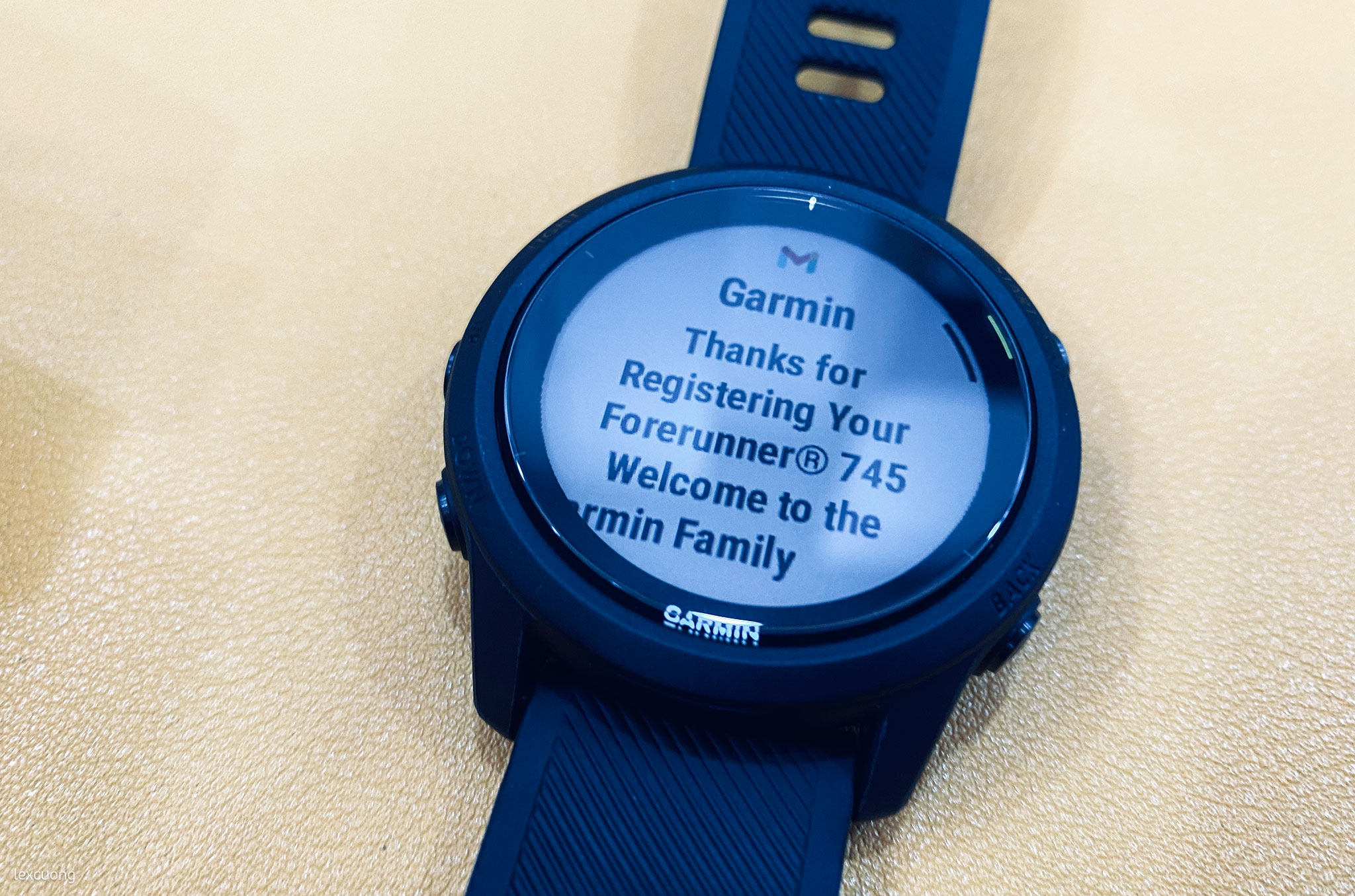 Garmin-Forerunner-745-02.jpg