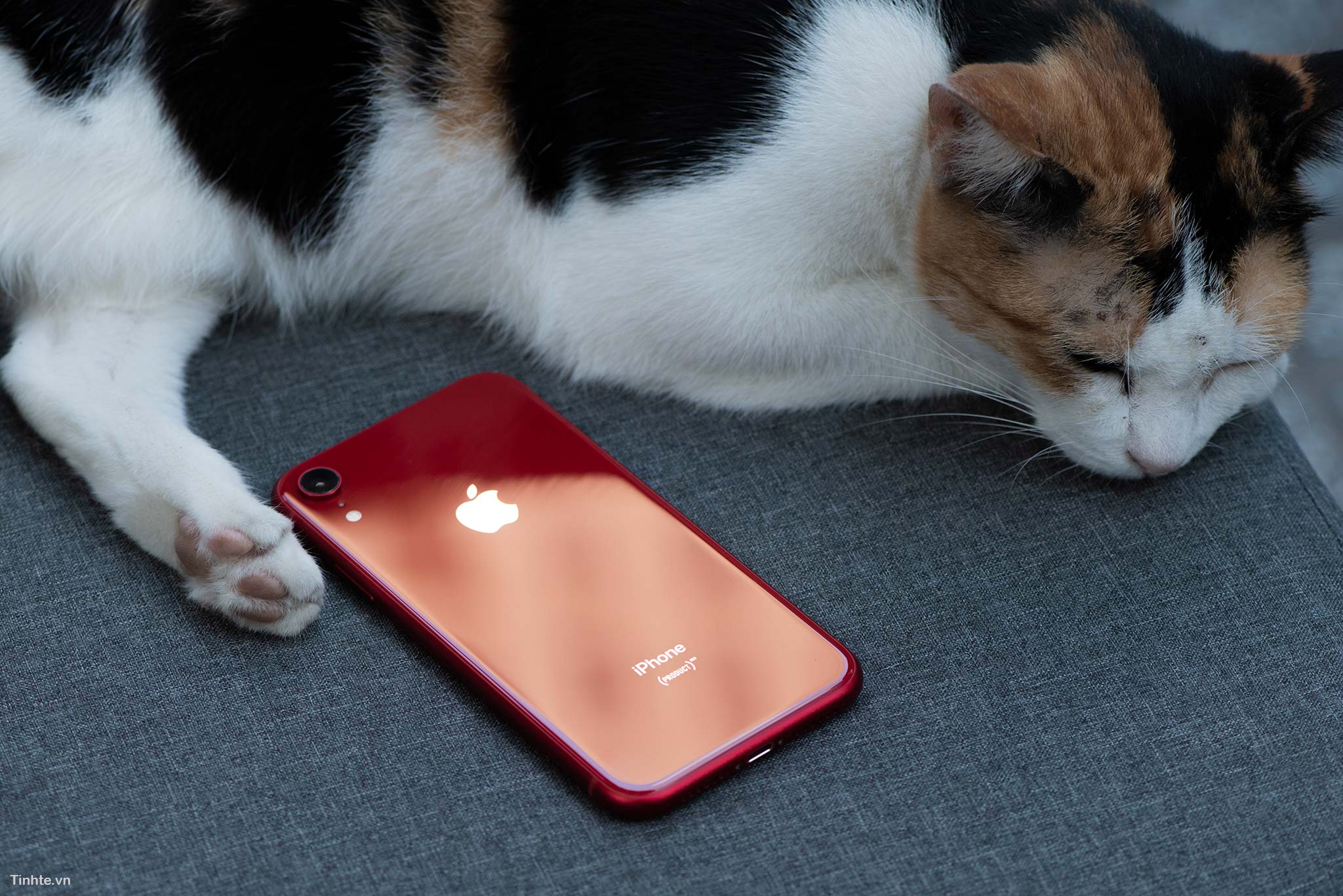 Ming-Chi Kuo: Apple hoãn ra mắt iPhone SE 4 đến năm 2024