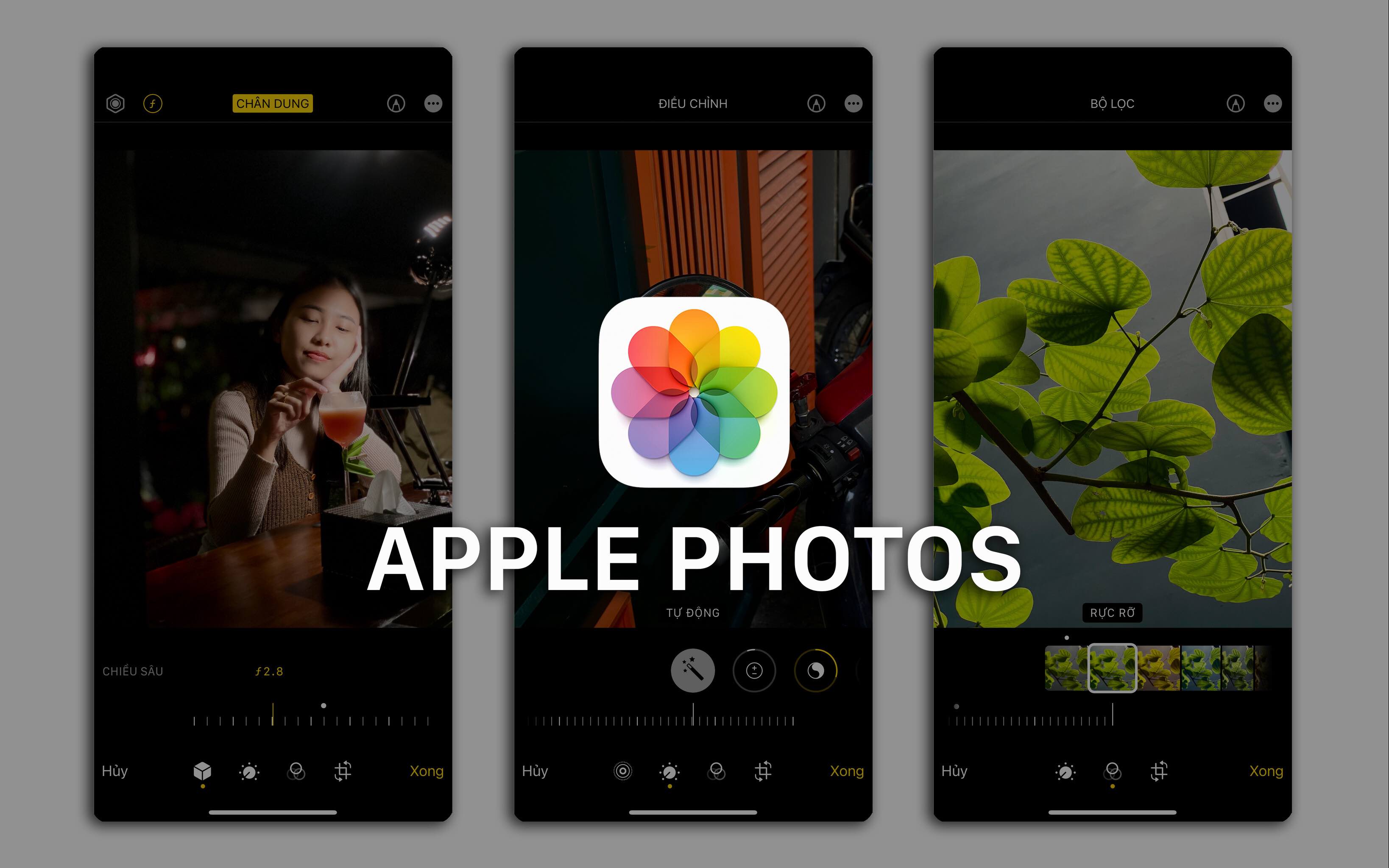 Apple Photos trên iPhone: Ứng dụng làm đẹp ảnh cho mọi nhà - Rất dễ sử dụng