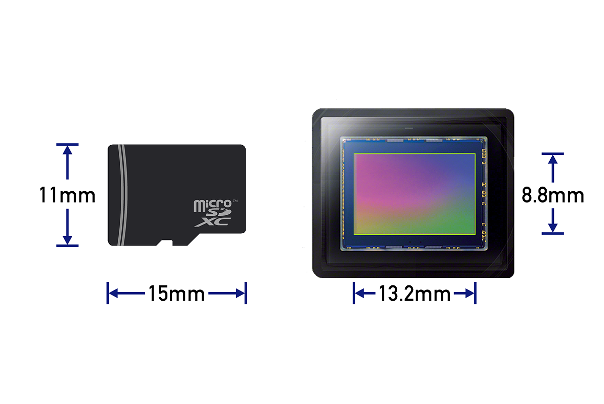 1-inch-type_sensor_vs_micro_SD_card.png