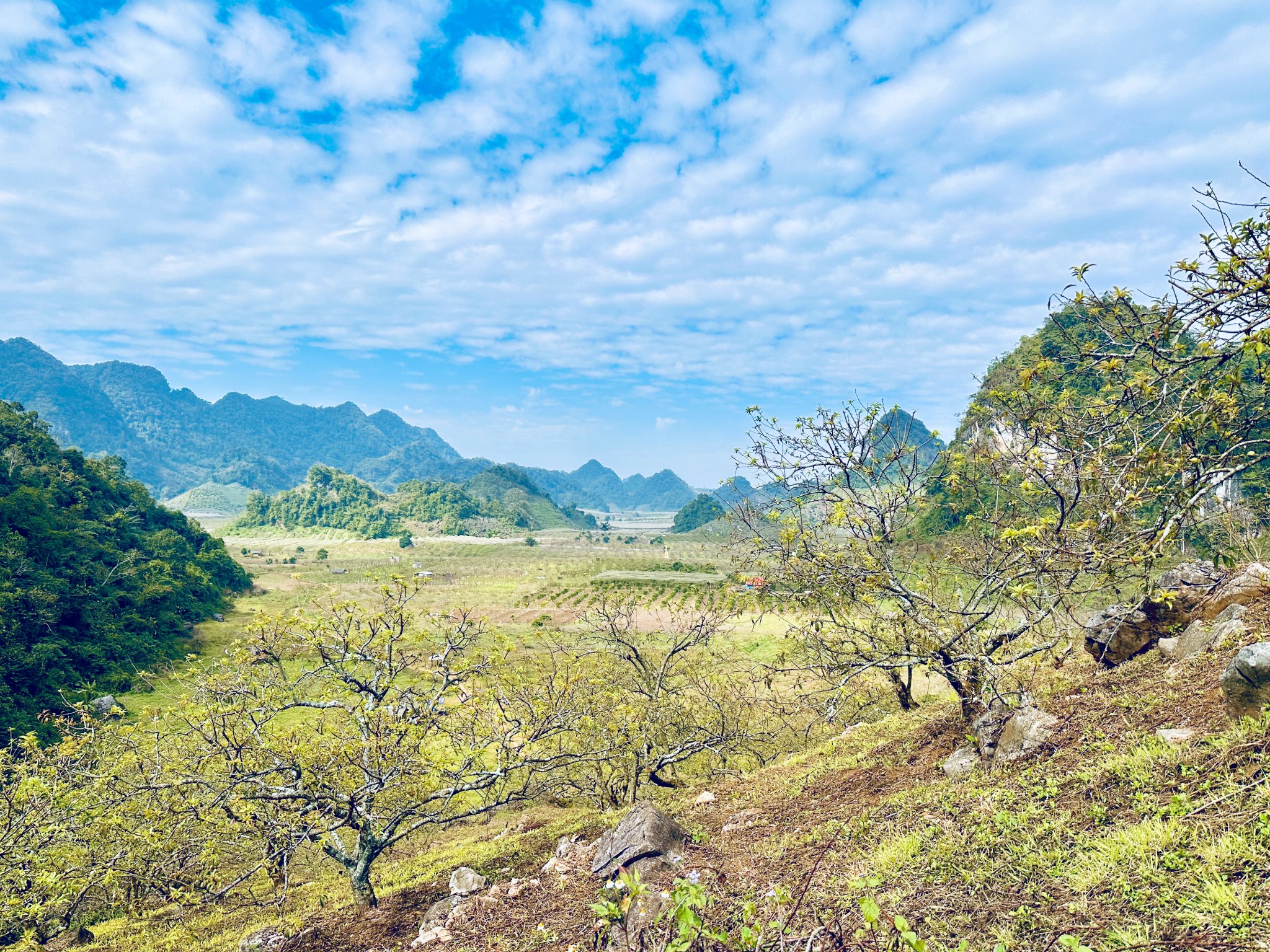 Moc chau trail view on the go.jpg