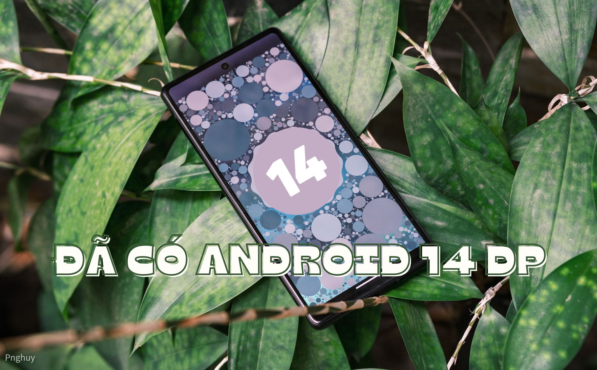 Hướng dẫn cài Android 14 Developer Preview 1 cho điện thoại Pixel