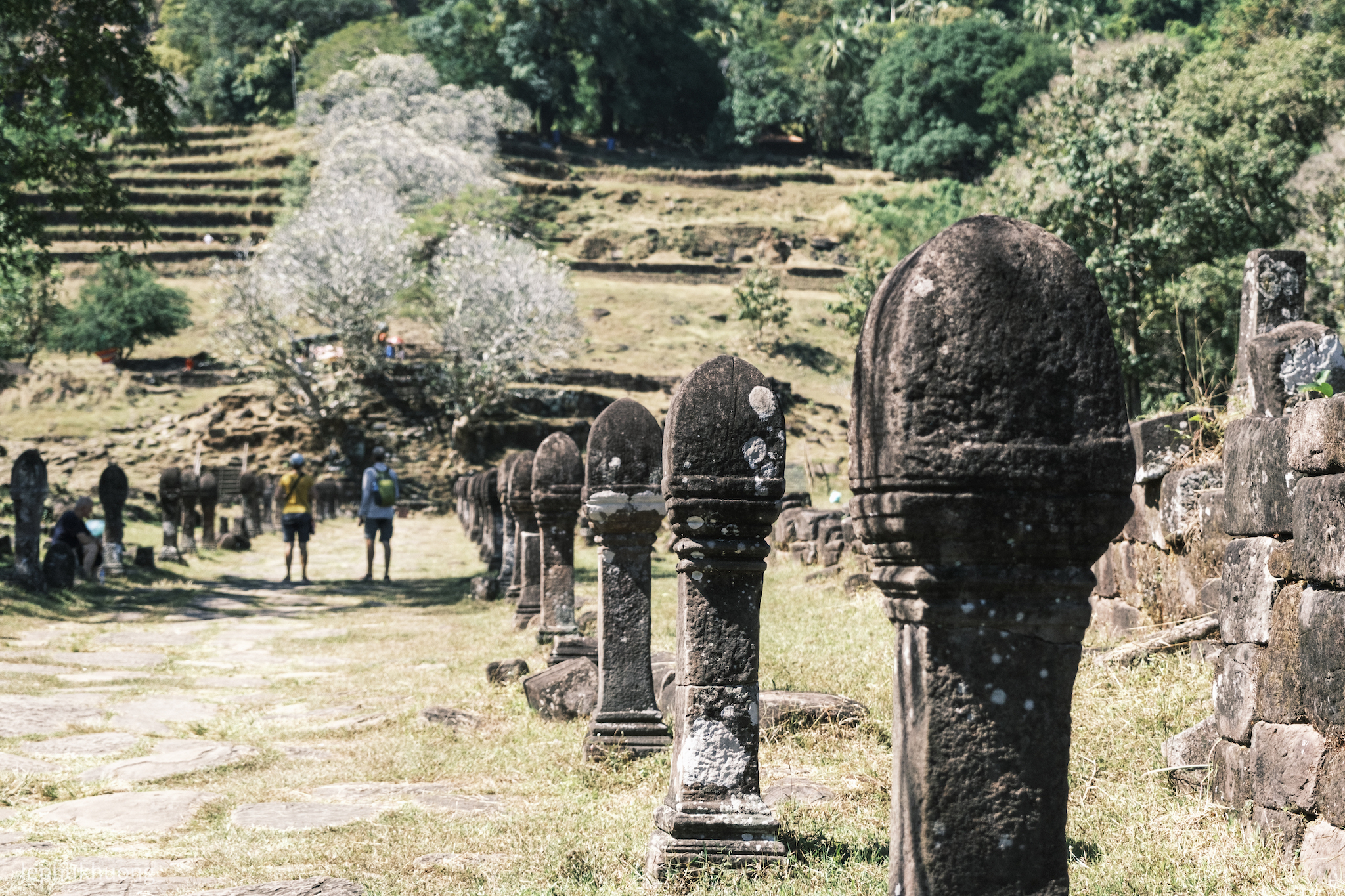 otr-6-wat-phou-tad-lao-64.jpg