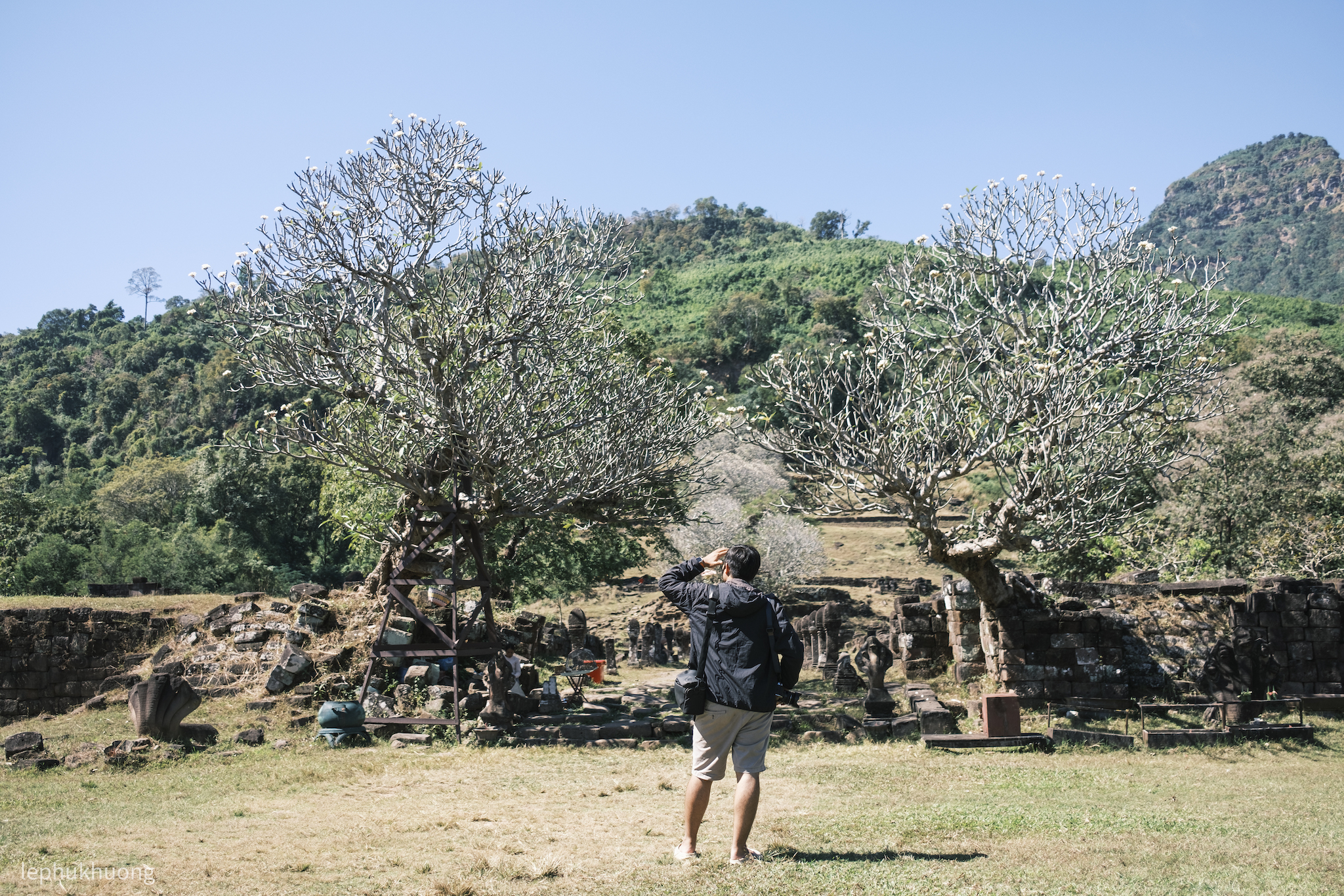 otr-6-wat-phou-tad-lao-65.jpg