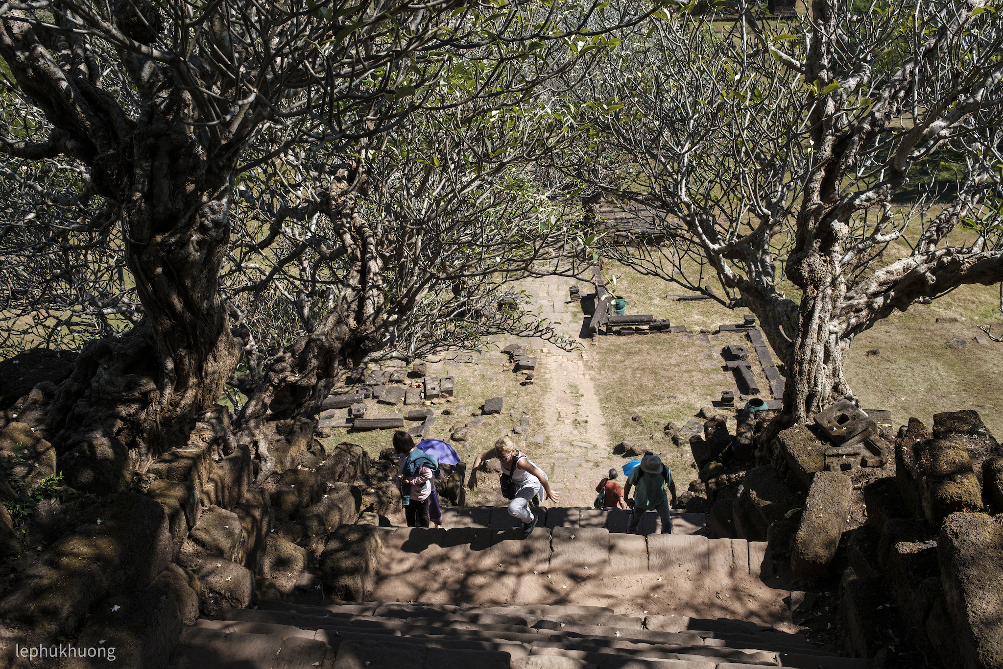 otr-6-wat-phou-tad-lao-47.jpg