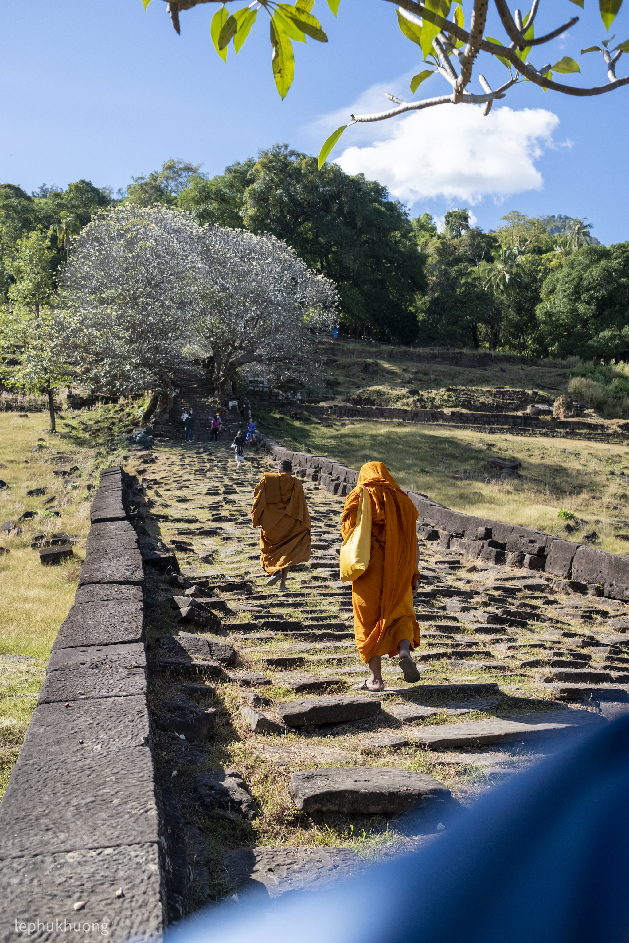 otr-6-wat-phou-tad-lao-31.jpg