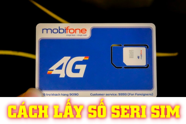 Kiểm Tra Số Điện Thoại Bằng Seri Sim MobiFone: Hướng Dẫn Đầy Đủ và Đơn Giản