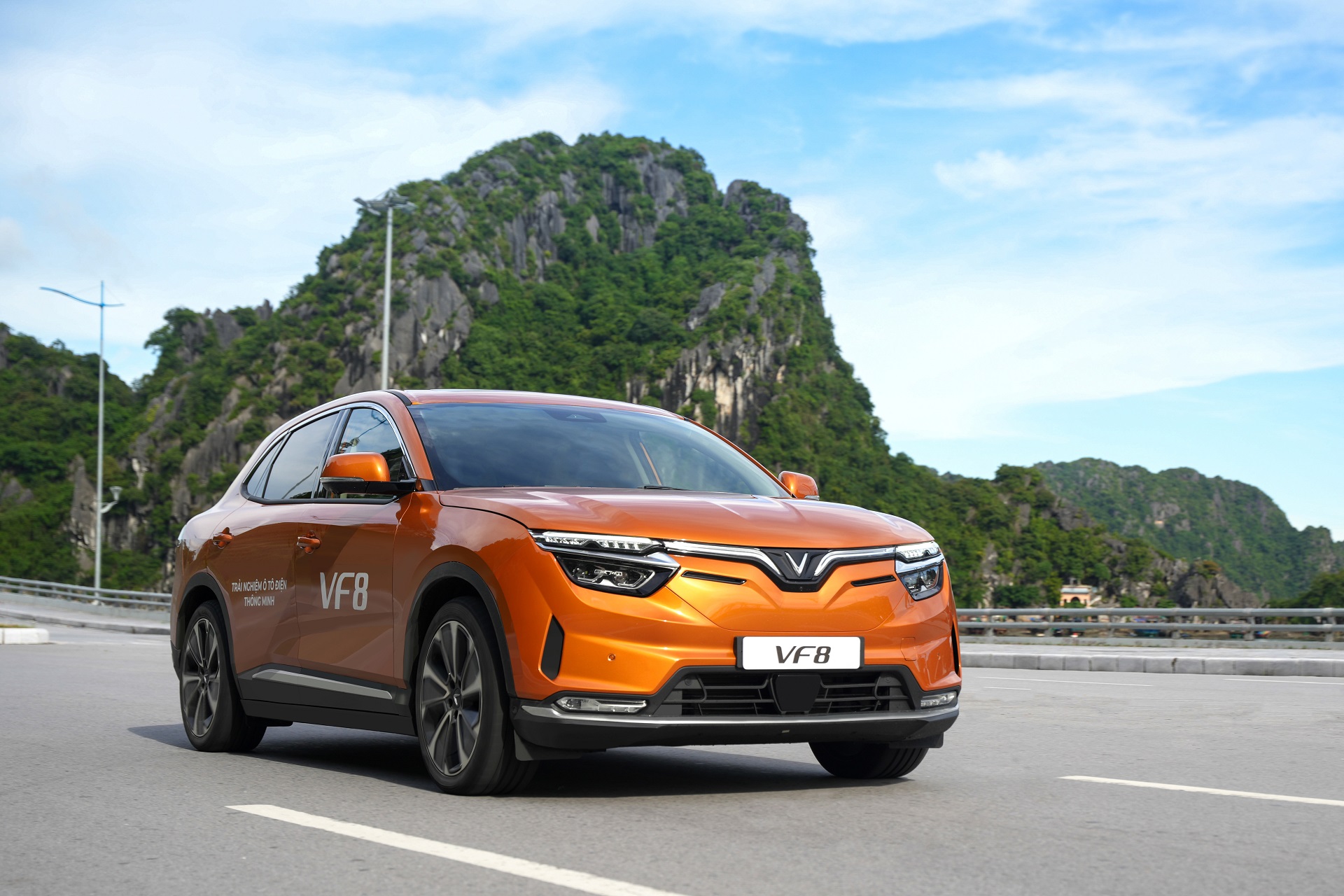 Chủ tịch tập đoàn Vingroup thành lập công ty cho thuê xe điện và hãng taxi điện tại Việt Nam