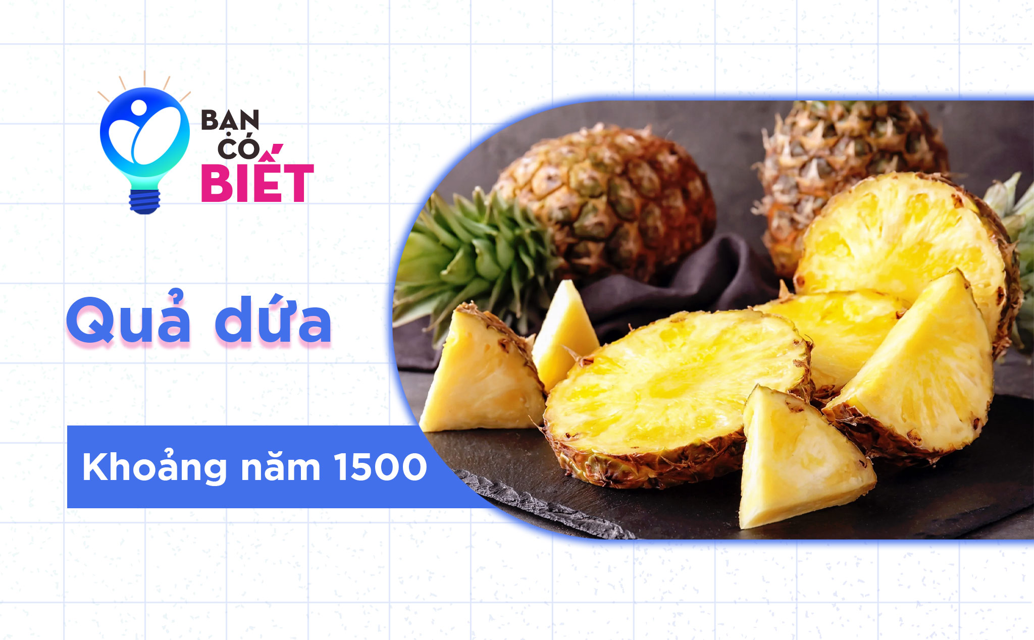 Bạn có biết: Quả dứa