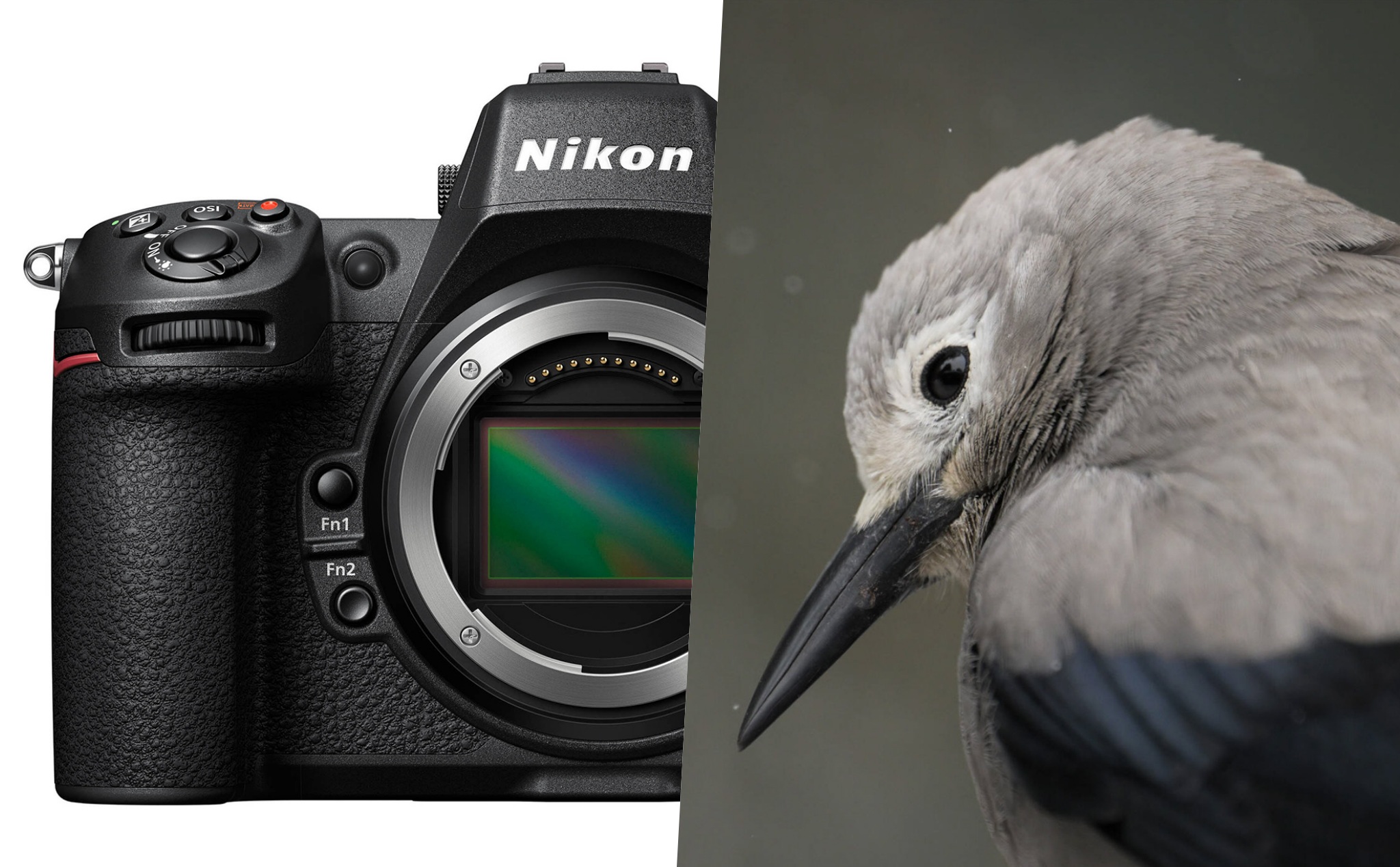 Nikon Z8 chính thức ra mắt: Kẻ kế nhiệm D850, giá $4000