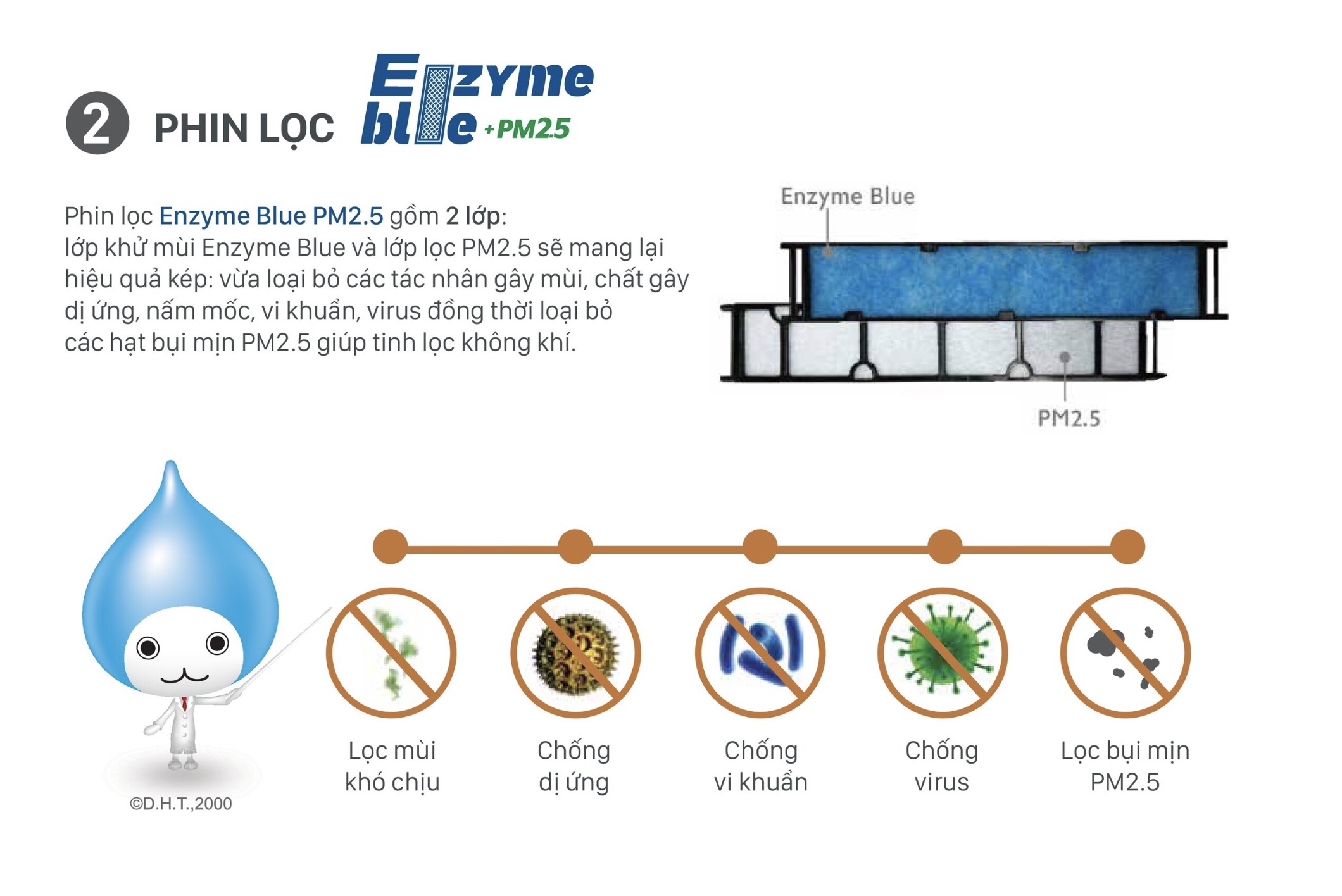 phin-loc-enzyme-blue pm2.5.jpg