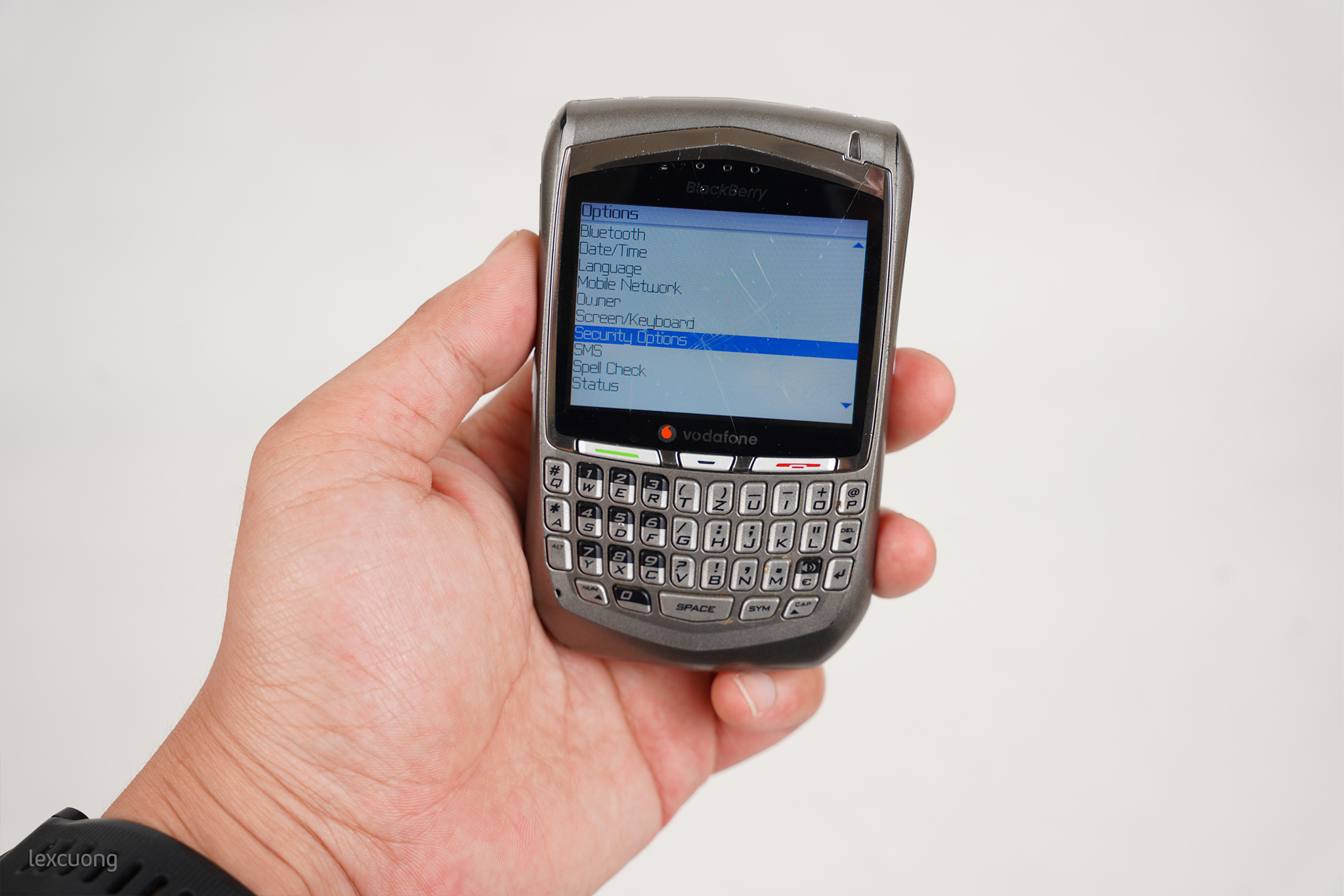 Blackberry 8700g (13).jpg