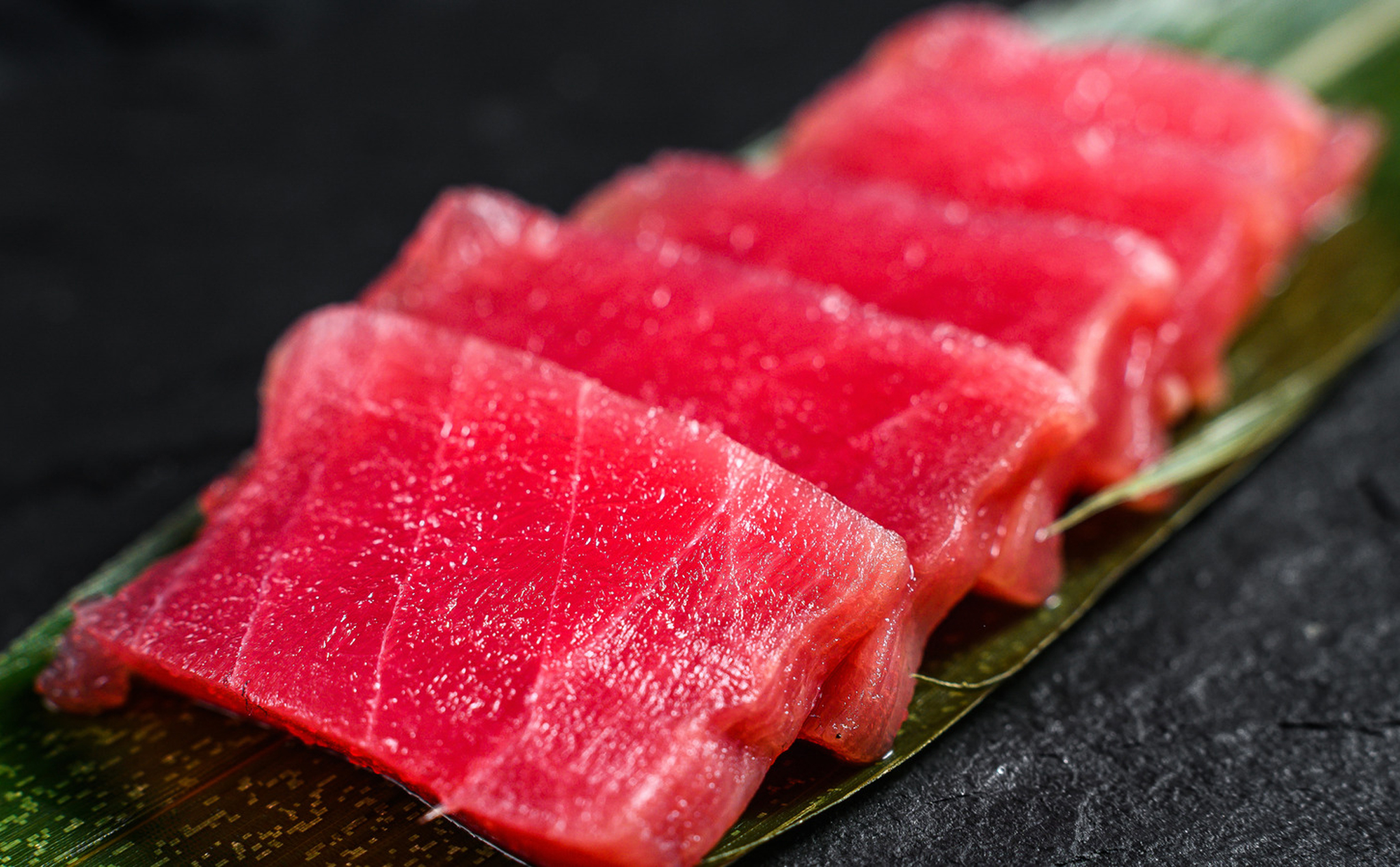 Ăn cá ngừ, nhưng bạn đã biết hết về chúng chưa?