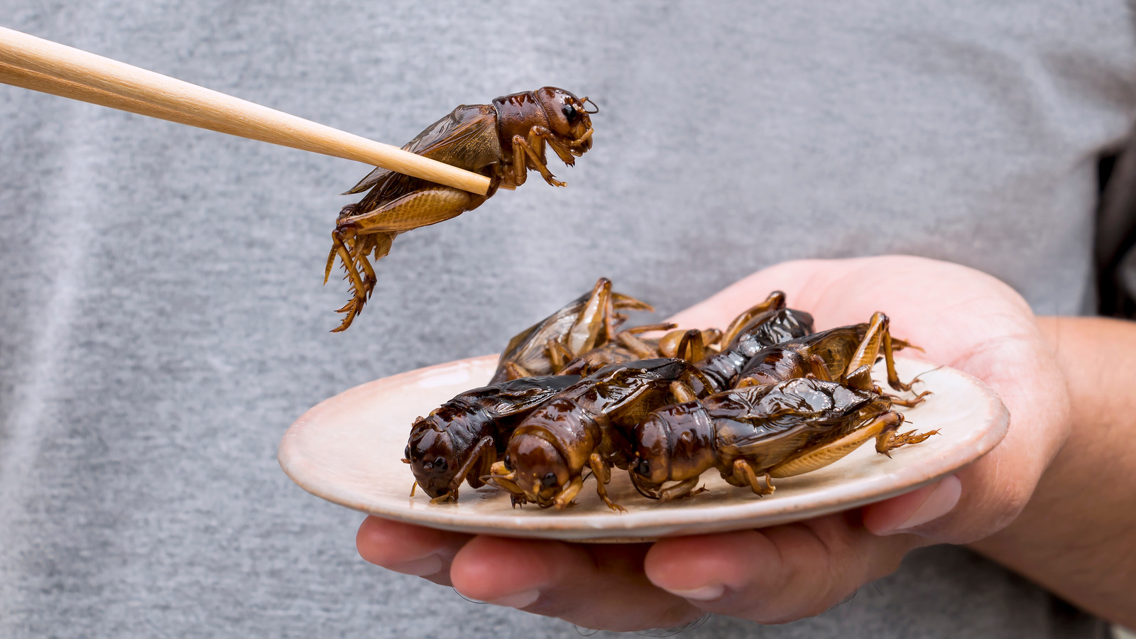 [Game] Mời bạn chia sẻ: Tại sao việc ăn côn trùng chưa phổ biến?