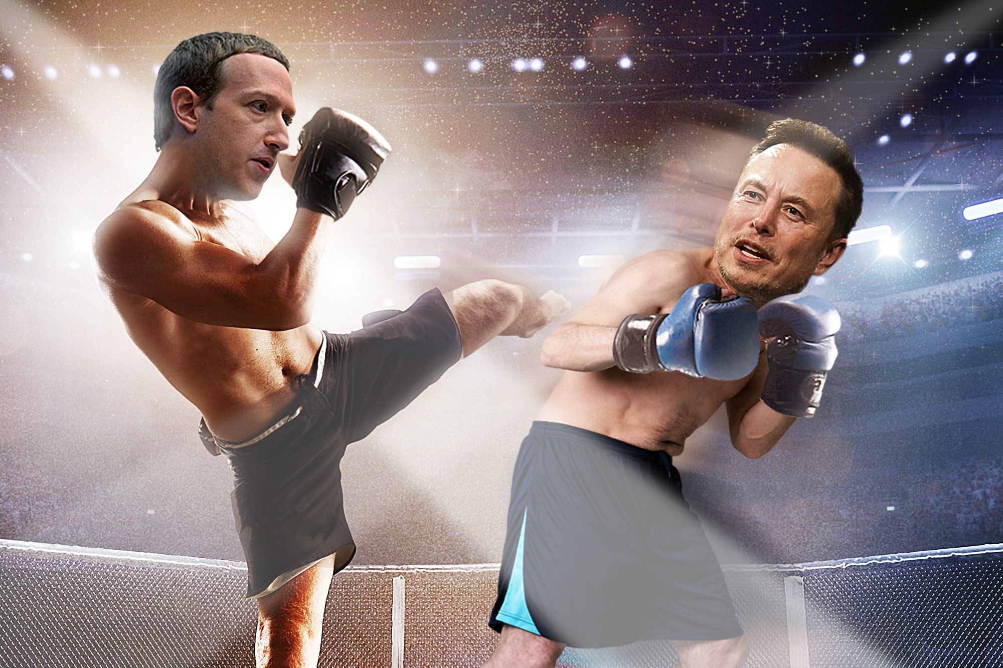 Elon Musk và Mark Zuckerberg đã đồng ý đấu tay đôi tại võ đài UFC Vegas