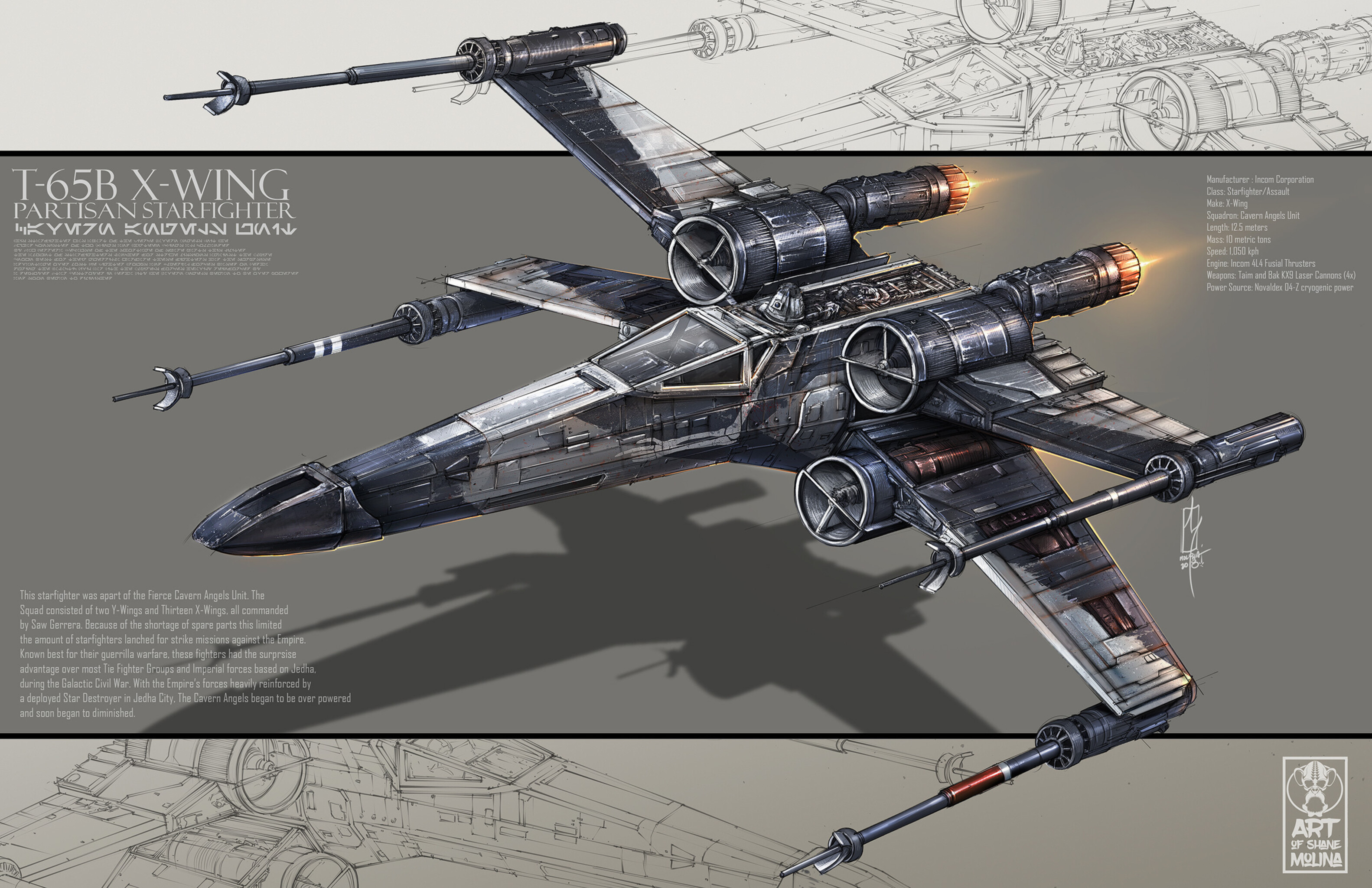 shane-molina-partisan-x-wing2a-lowres.jpg