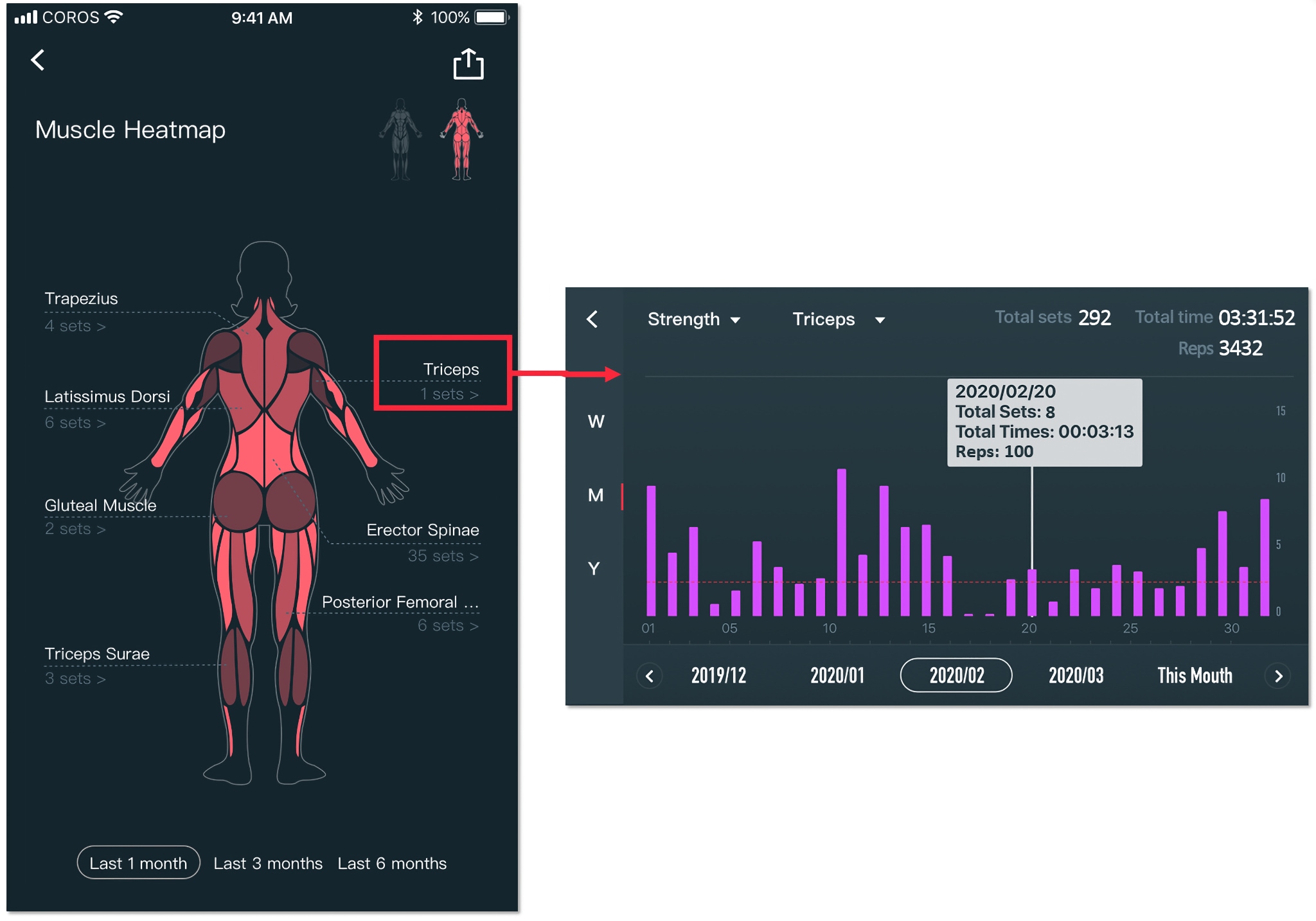 muscle heatmap.jpg