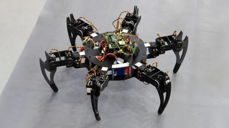 robotic-insects-1687445499.jpg