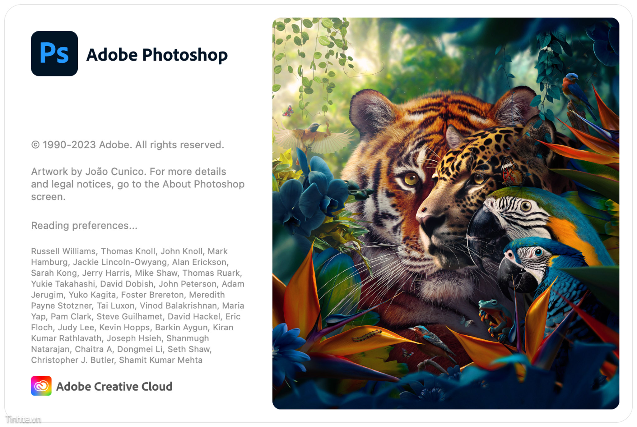 Adobe Photoshop 2024 download the last version for android