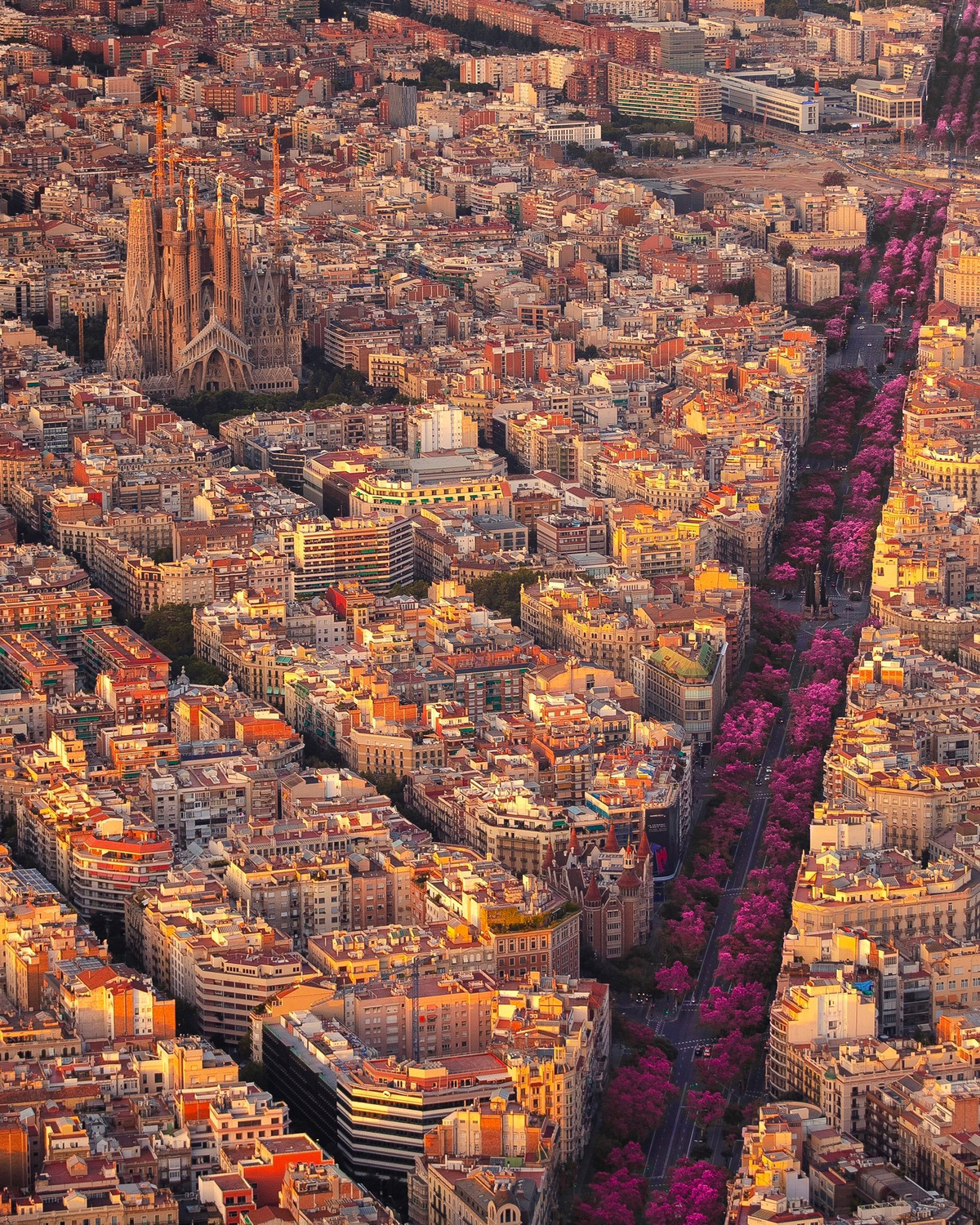 Một góc Barcelona - Một thành pố đã được thiết kế và xây dựng cách đây nhiều trăm năm...