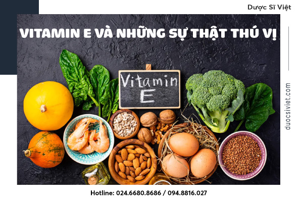 Vitamin E và những sự thật thú vị