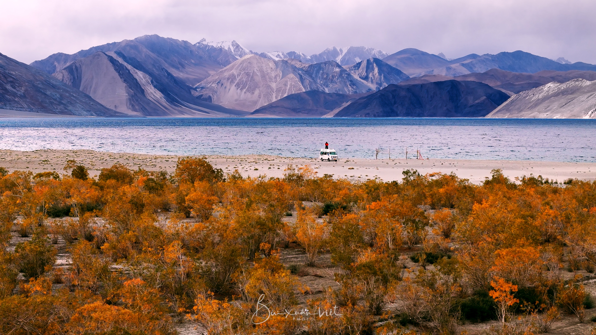 ladakh 9.jpg