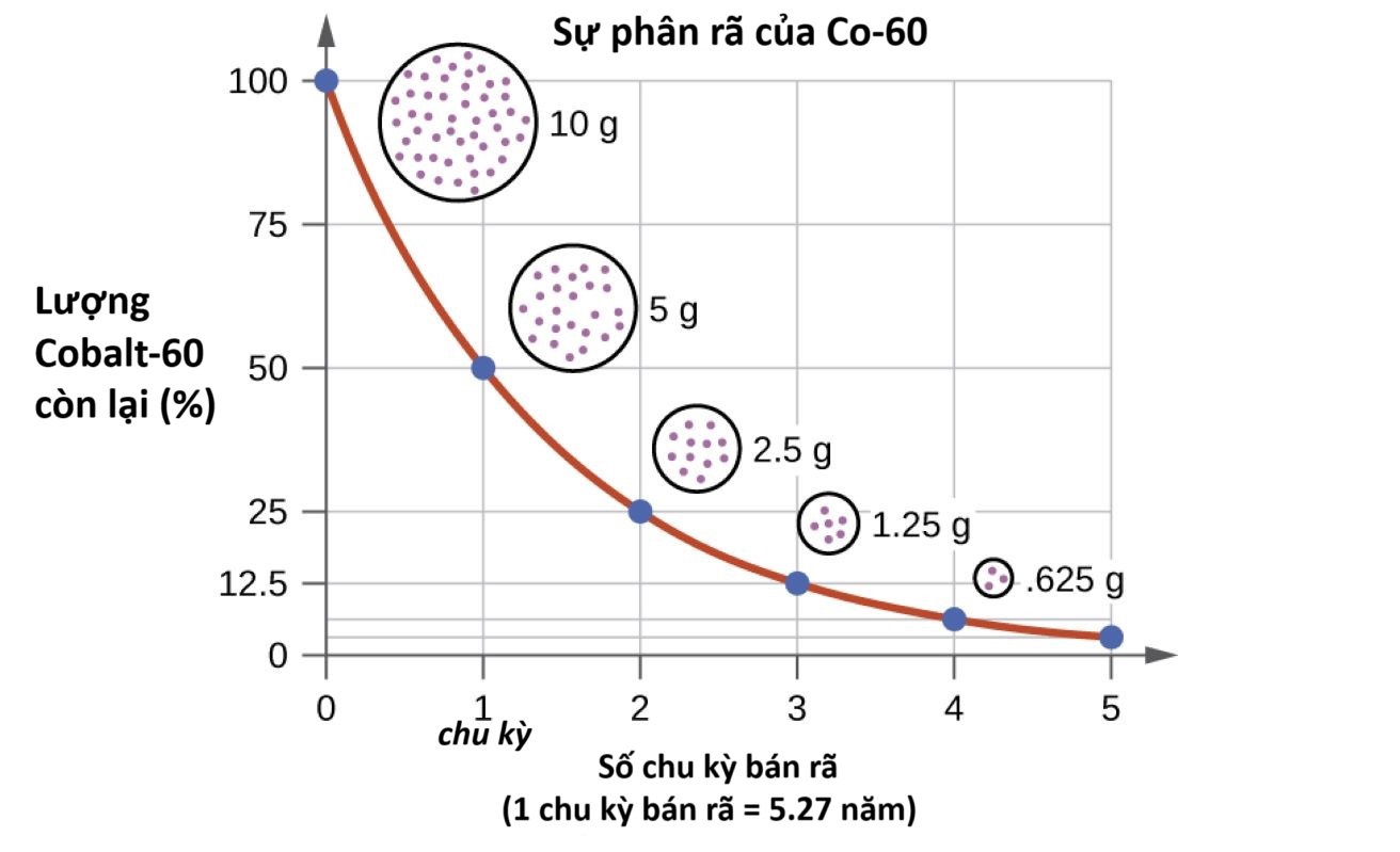 do-thi-chu-ky-cua-cobalt-60.jpg