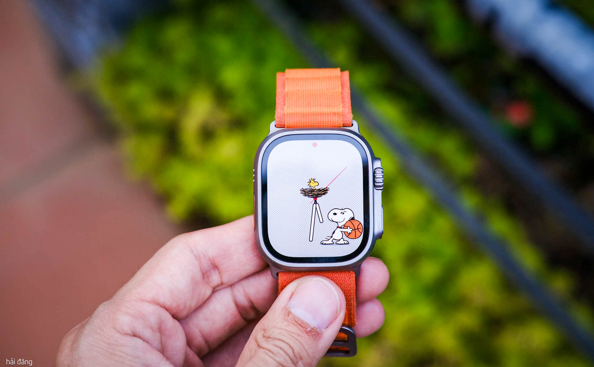 31 mẫu mặt đồng hồ Apple Watch đẹp, ứng dụng thay ảnh xịn nhất -  Thegioididong.com