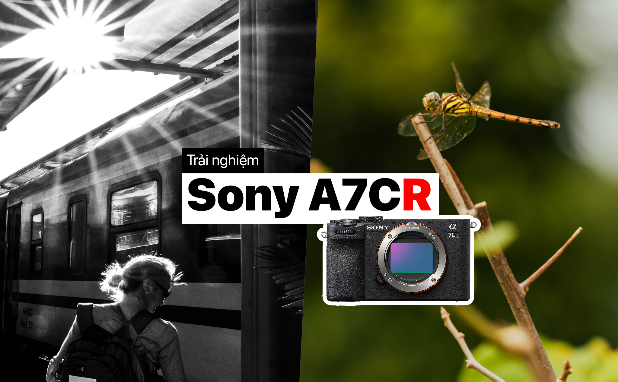 1 tuần ăn ngủ Sony A7CR: Mình sẽ chọn nó thay vì A7CII hay A7R V
