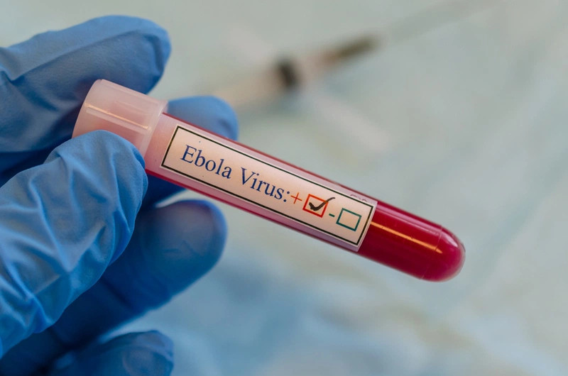 Những ai có nguy cơ mắc phải bệnh Ebola?