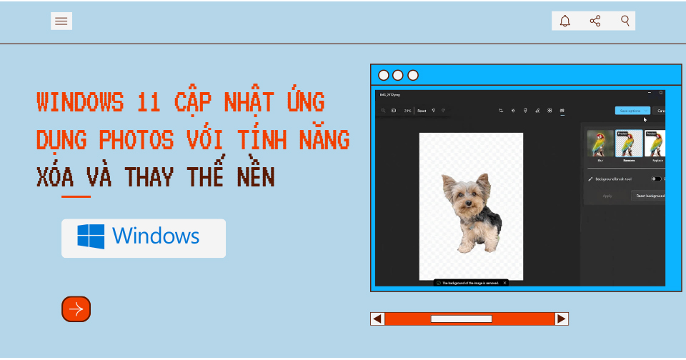 Windows 11 cập nhật ứng dụng Photos với tính năng xóa và thay thế nền