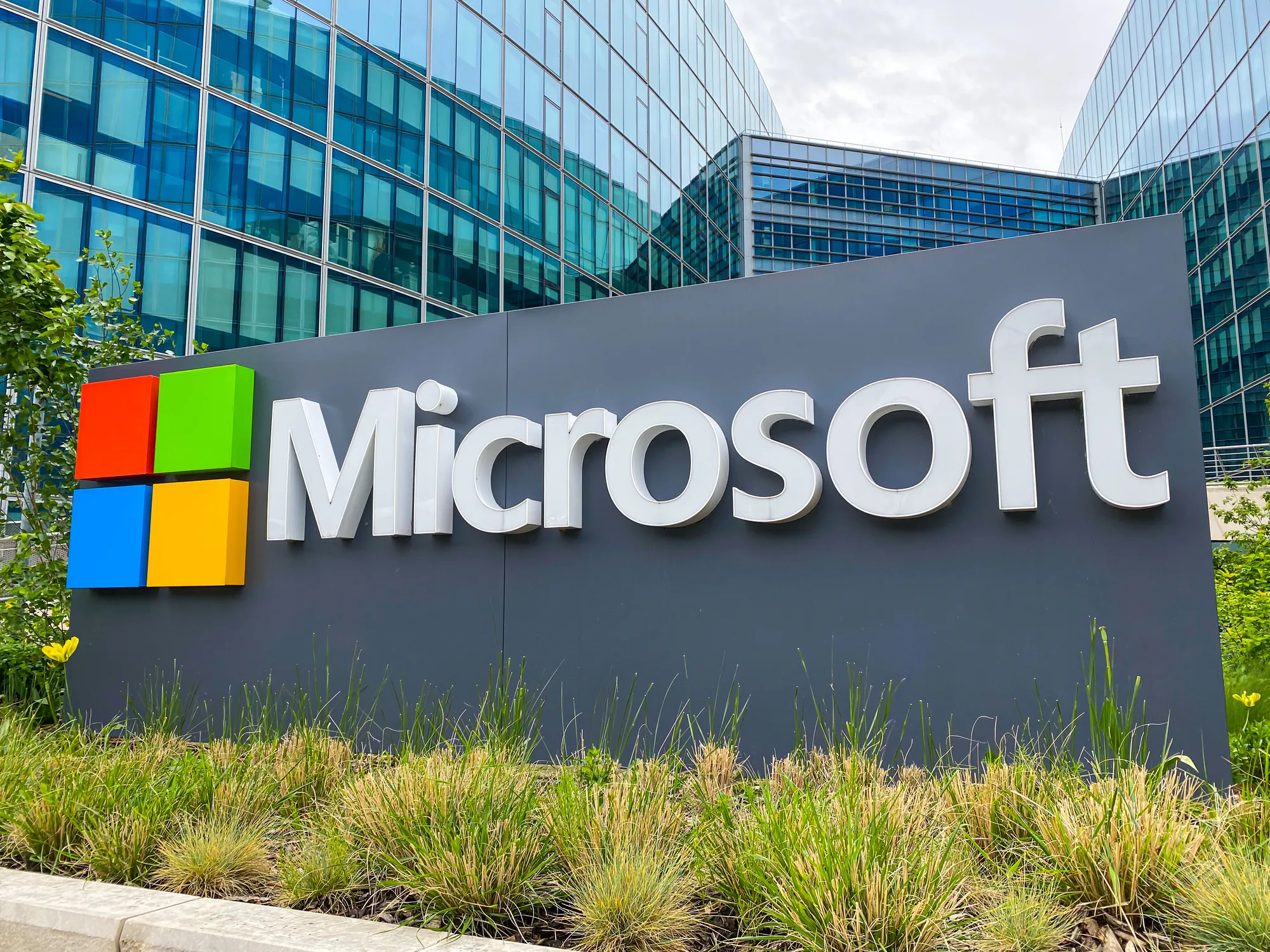 Microsoft bỏ 76 triệu USD mua lại đồn điền bí ngô, dự kiến lấy đất xây trung tâm dữ liệu