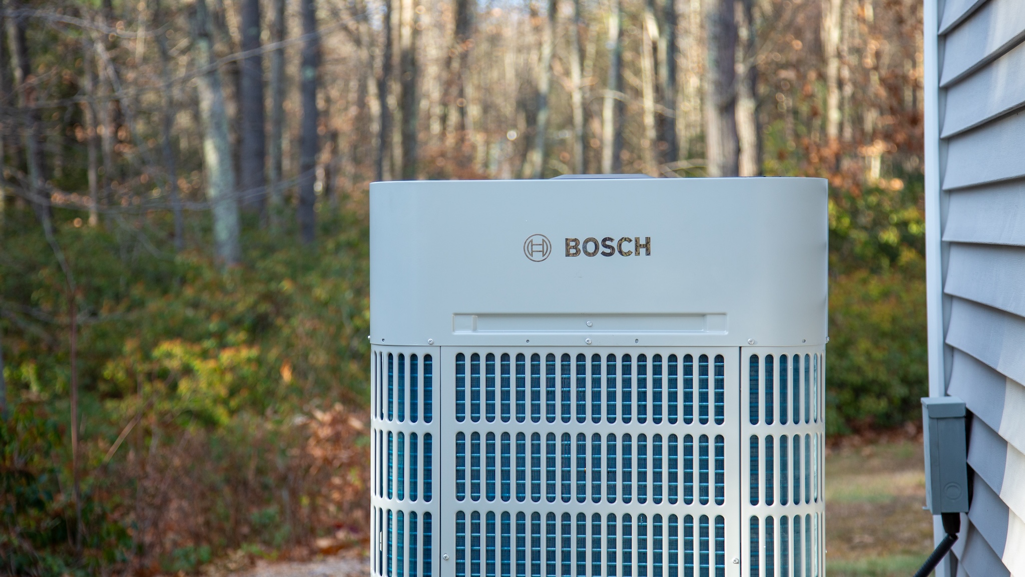 bosch-2.jpg