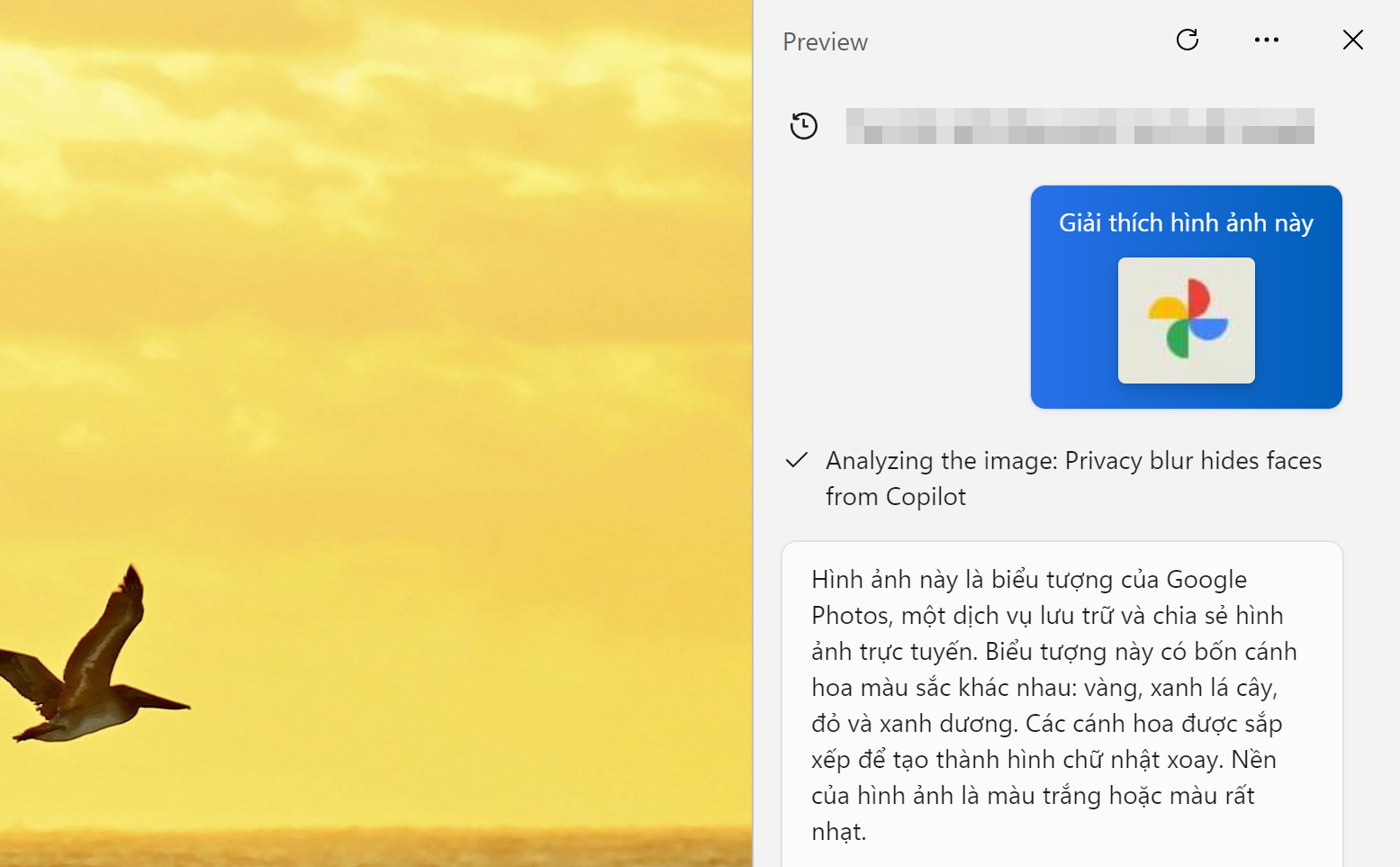 Windows Copilot giải thích nội dung bức ảnh bằng tiếng Việt, mời anh em thử