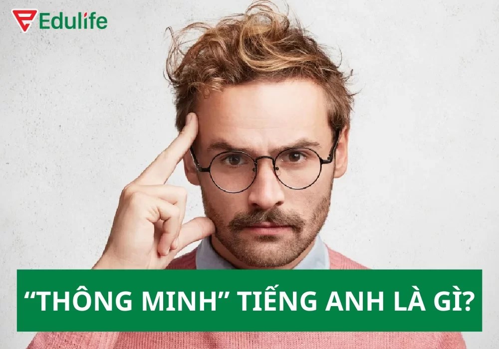 Thông Minh Trong Tiếng Anh Là Gì? - Khám Phá Những Từ Đồng Nghĩa Và Ví Dụ