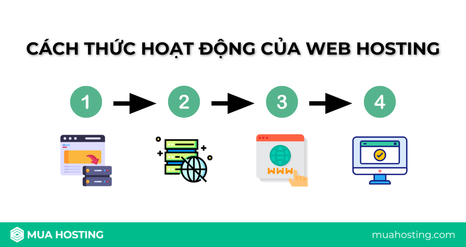 cach-thuc-hoat-dong-web-hosting (1).png