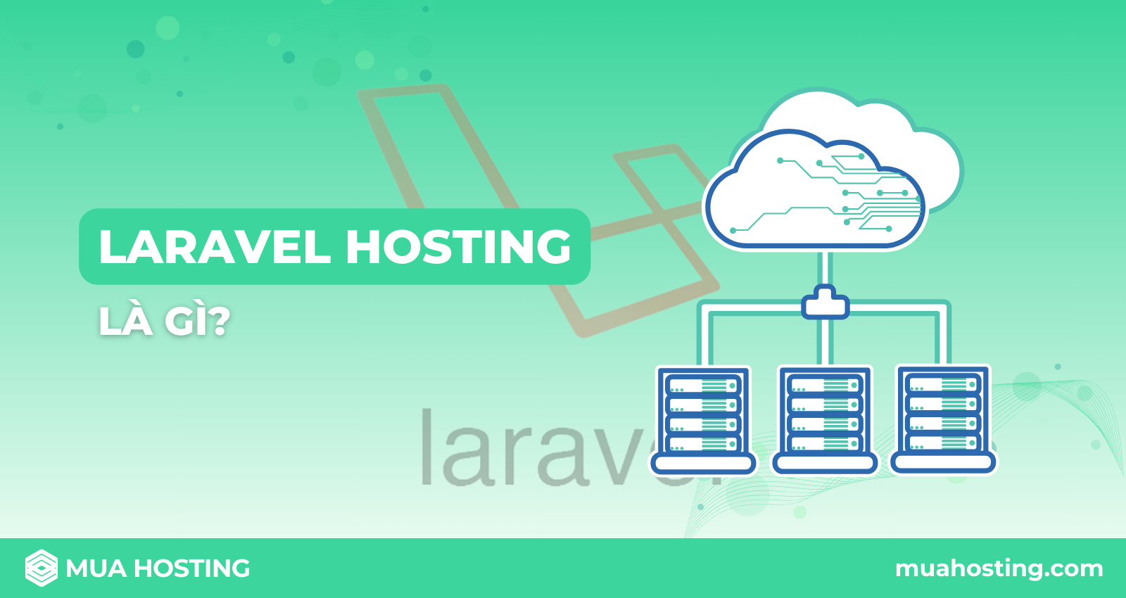 Laravel Hosting là gì? Top các nhà cung cấp Laravel Hosting chất lượng nhất