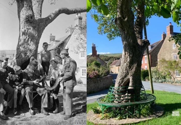 Môt cây sycamore trong WW2 và ngày nay ở ngôi làng Burton Bradstock, Dorset, nước Anh. Lính Mỹ...