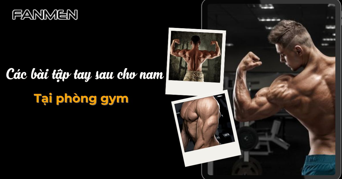 Các Bài Tập Tay Sau Cho Nam Tại Phòng Gym 2024