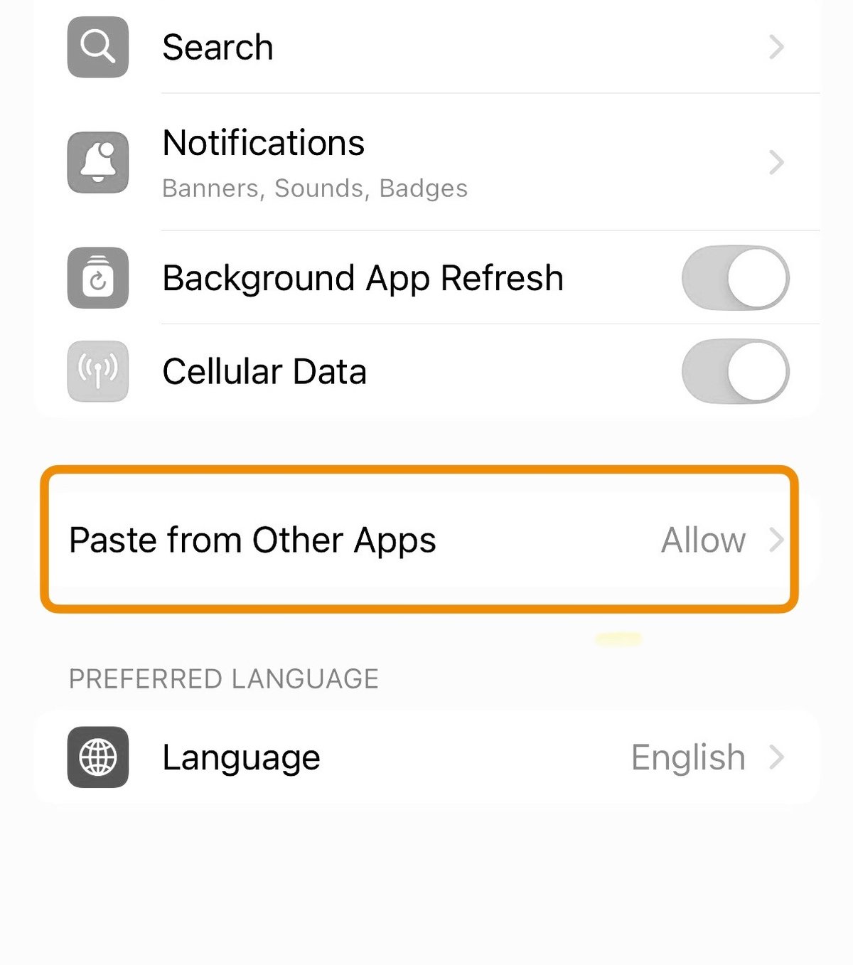 [iPhone] Cài đặt để không bị hỏi lúc copy paste từ ứng dụng khác