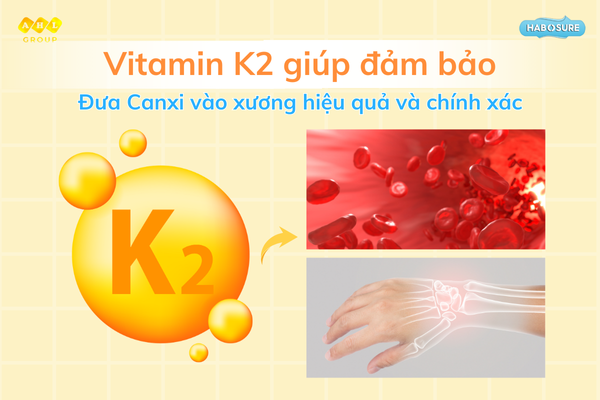 vitamin-k2-giup-dam-bao-dua-canxi-vao-xuong-hieu-qua-va-chinh-xac.png