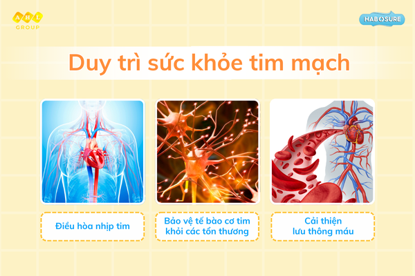 vitamin-k2-giup-duy-tri-suc-khoe-tim-mạch.png