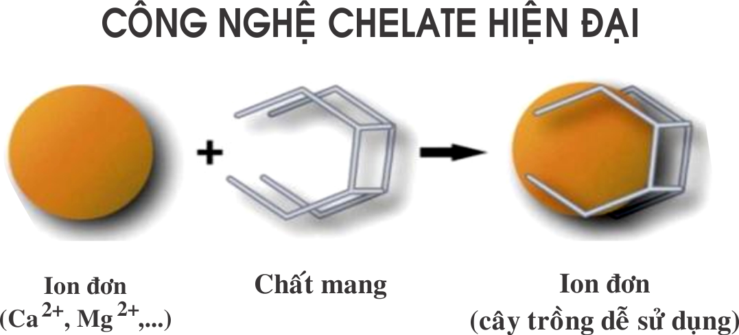 chelate.png