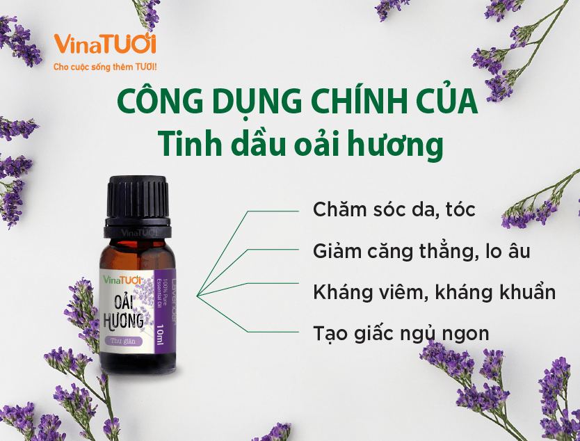 Tinh Dầu Oải Hương – Bí Quyết Sức Khỏe và Sắc Đẹp Tự Nhiên