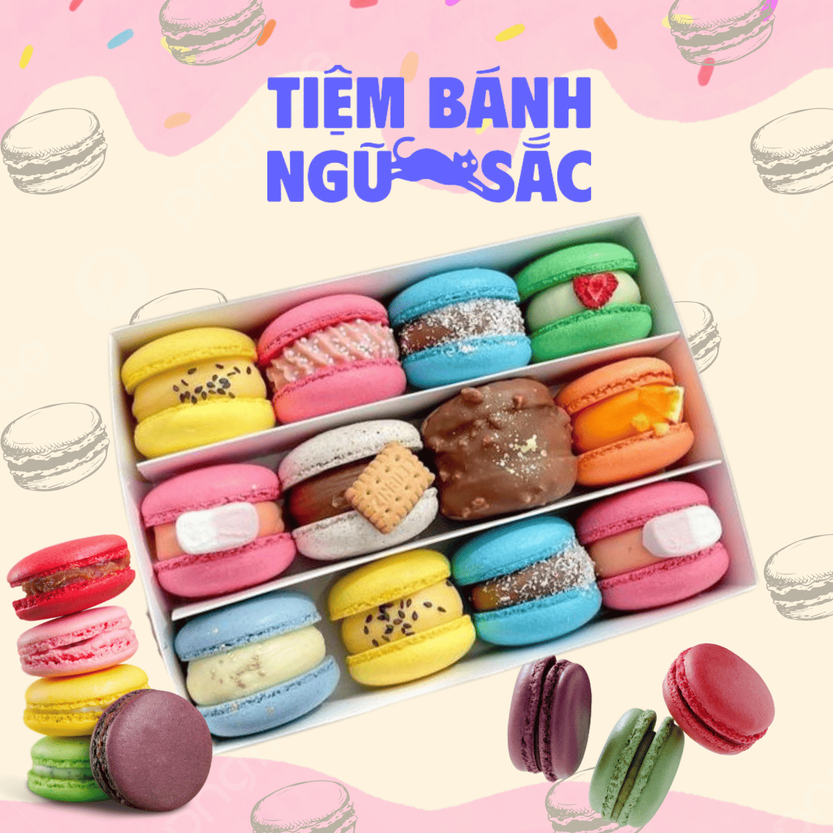 Bánh Macaron – Món Ngọt Sang Trọng và Đầy Sáng Tạo